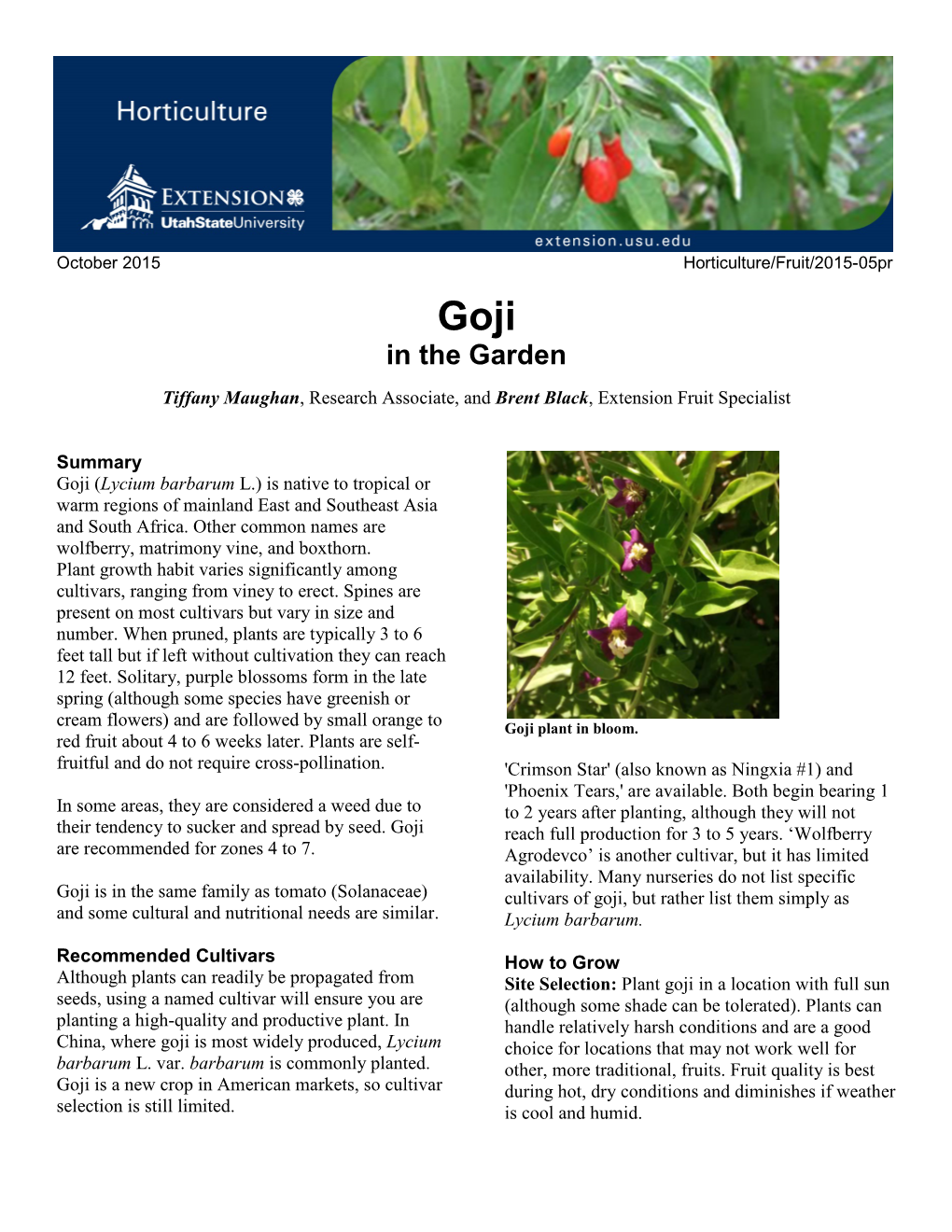 Goji in the Garden