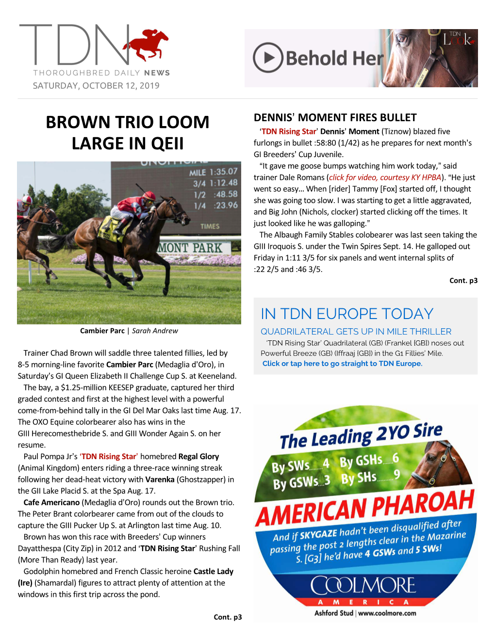 Brown Trio Loom Large in Qeii