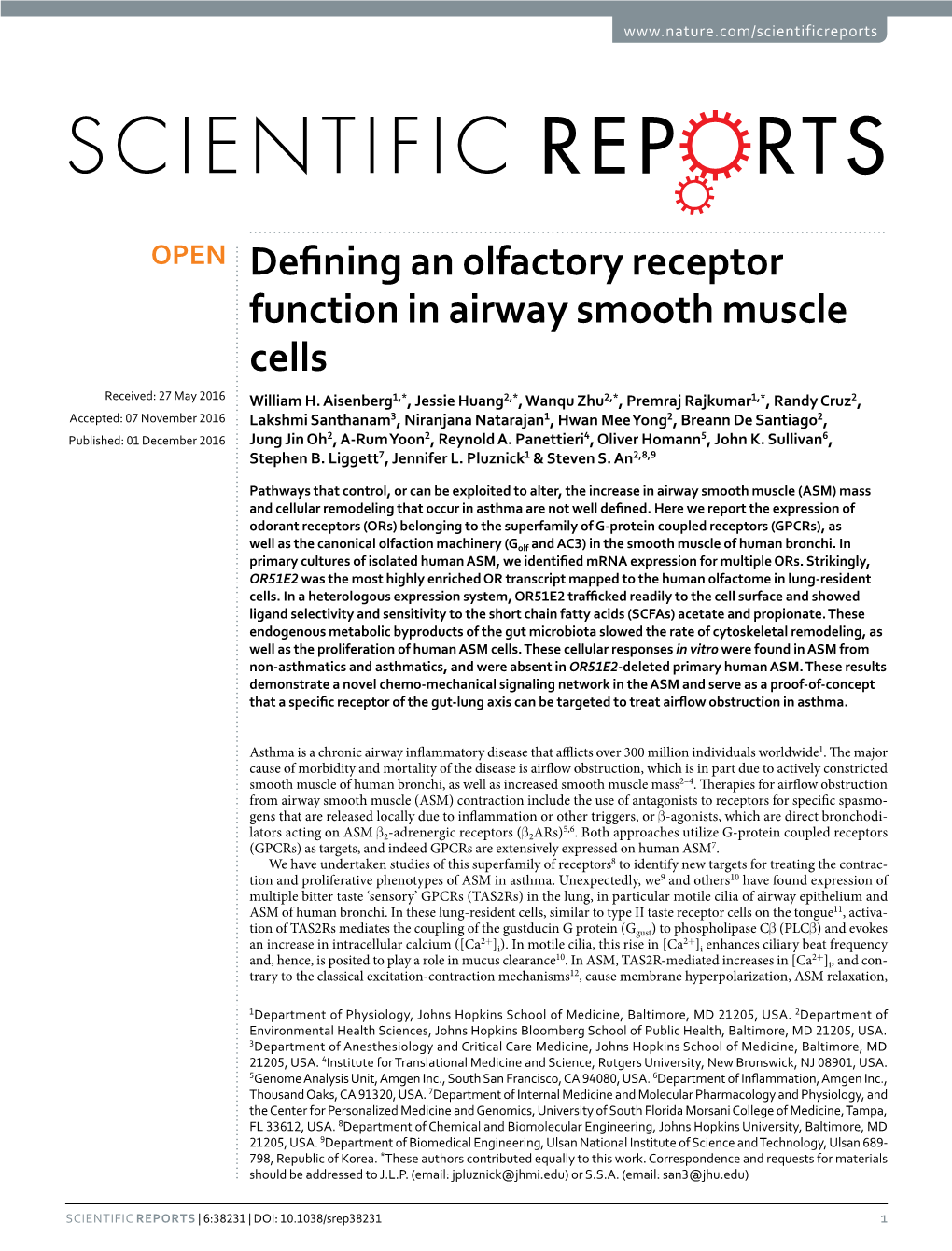 Defining an Olfactory Receptor Function in Airway Smooth Muscle Cells Received: 27 May 2016 William H