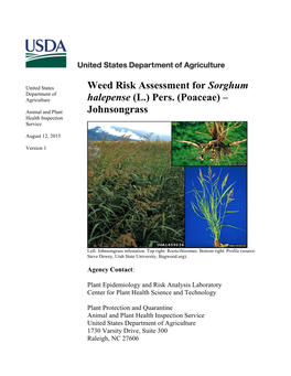 Weed Risk Assessment for Sorghum Halepense (L.) Pers. (Poaceae) – Johnsongrass