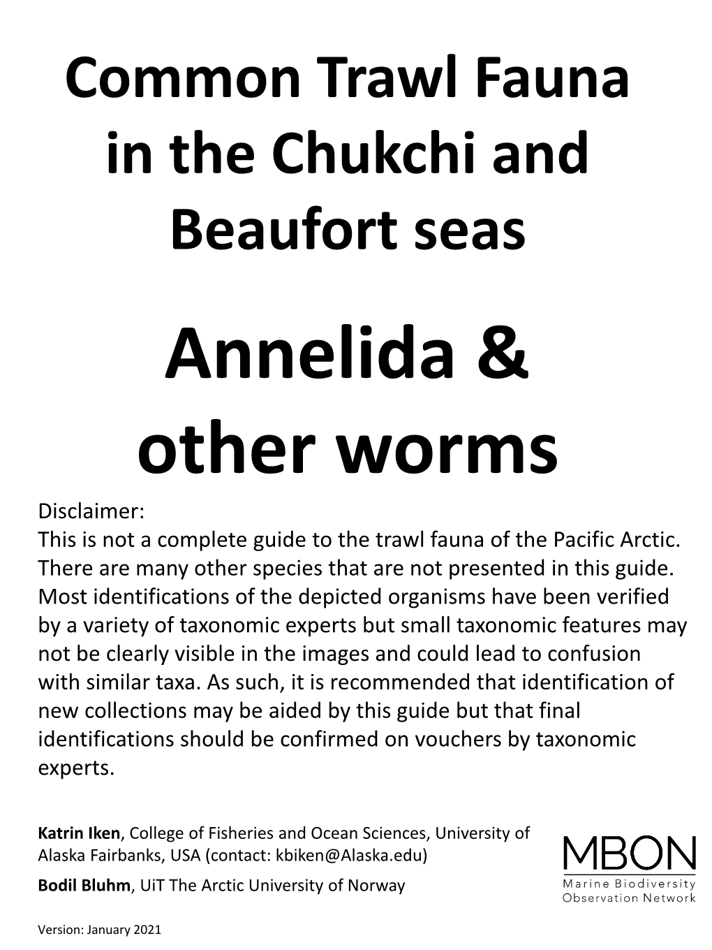Annelida & Other Worms