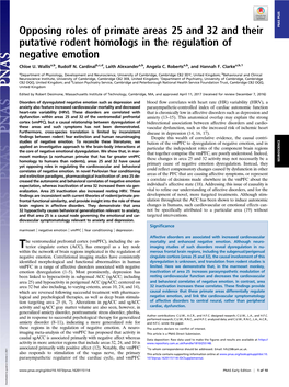 Opposing Roles of Primate Areas 25 and 32 and Their Putative Rodent