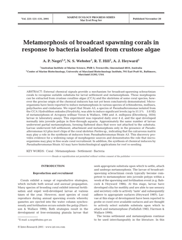Metamorphosis of Broadcast Spawning Corals in Response to Bacteria Isolated from Crustose Algae