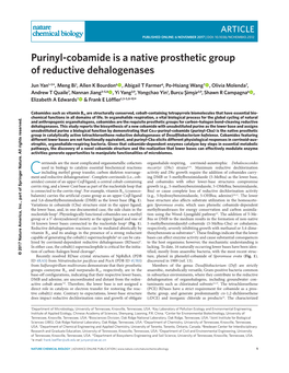 Purinyl-Cobamide Is a Native Prosthetic Group of Reductive