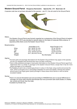 Western Ground Parrot Pezoporus Flaviventris Species