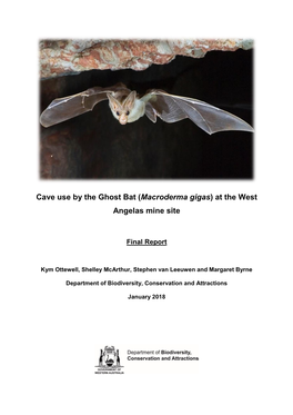 Cave Use by the Ghost Bat (Macroderma Gigas) at the West Angelas Mine Site