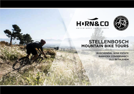Stellenbosch Mountain Bike Tours