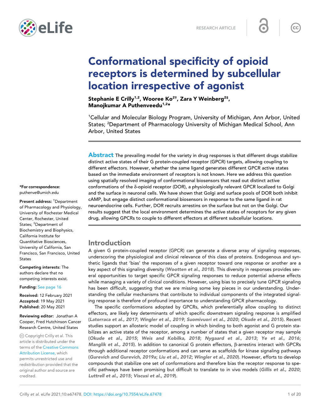 Conformational Specificity of Opioid Receptors Is Determined By