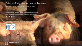 Future of Pig Production in Romania Options for Governmental Policy