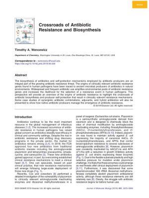 Crossroads of Antibiotic Resistance and Biosynthesis
