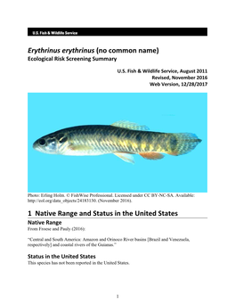 Erythrinus Erythrinus (No Common Name) Ecological Risk Screening Summary