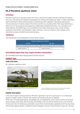 E5.3 Pteridium Aquilinum Stand