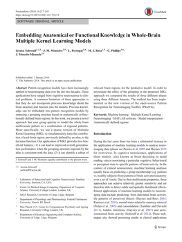 Embedding Anatomical Or Functional Knowledge in Whole-Brain Multiple Kernel Learning Models