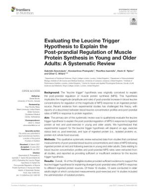 Evaluating the Leucine Trigger Hypothesis to Explain the Post-Prandial Regulation of Muscle Protein Synthesis in Young and Older Adults: a Systematic Review