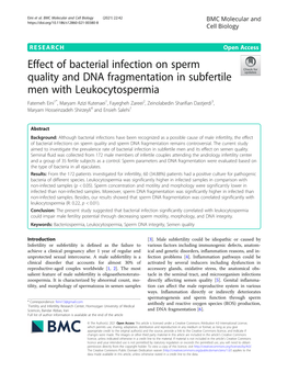 Effect of Bacterial Infection on Sperm Quality and DNA Fragmentation In