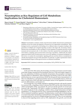 Neurotrophins As Key Regulators of Cell Metabolism: Implications for Cholesterol Homeostasis