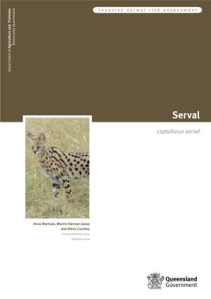 African Serval Risk Assessment