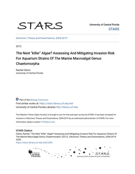 Algae? Assessing and Mitigating Invasion Risk for Aquarium Strains of the Marine Macroalgal Genus Chaetomorpha