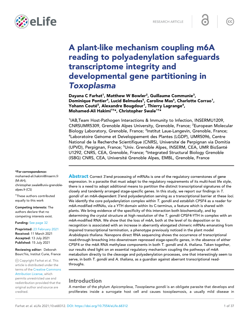 A Plant-Like Mechanism Coupling M6a Reading to Polyadenylation