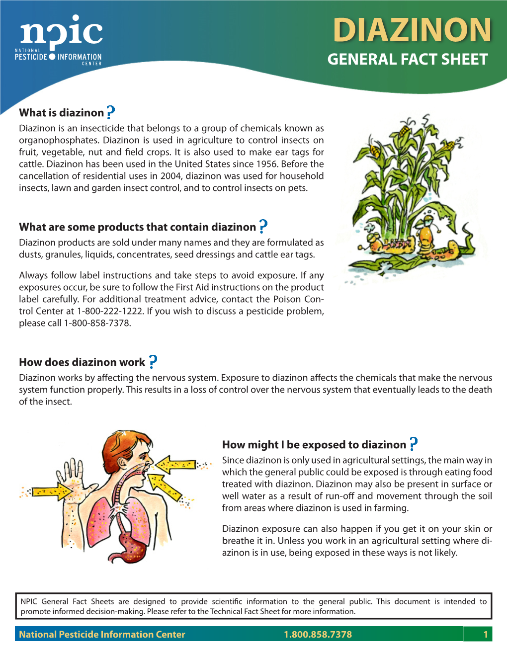 Diazinon General Fact Sheet