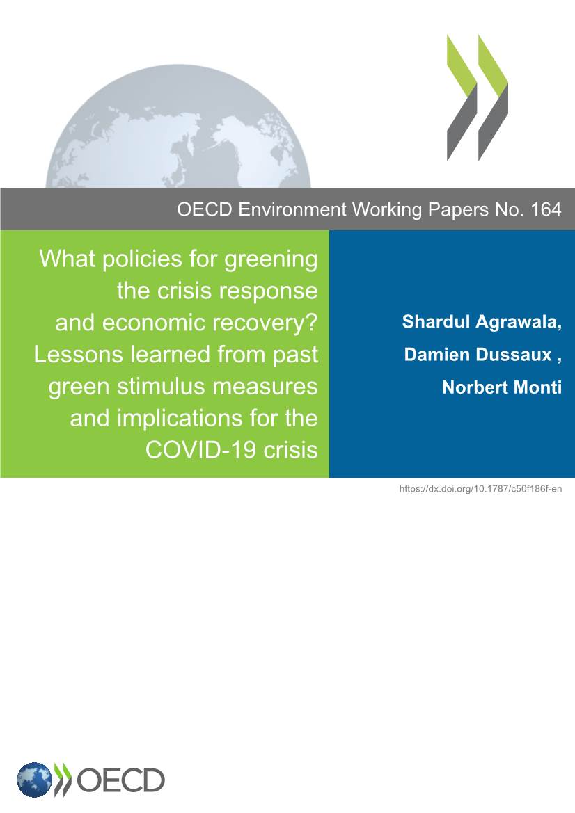 What Policies for Greening the Crisis Response and Economic Recovery?