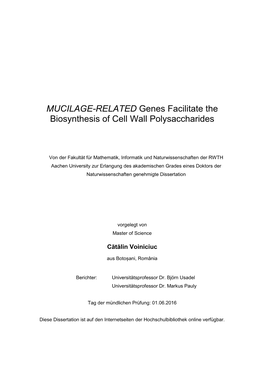 MUCILAGE-RELATED Genes Facilitate the Biosynthesis of Cell Wall Polysaccharides