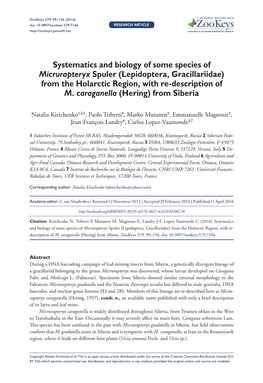 (Lepidoptera, Gracillariidae) from the Holarctic Region, with Re-Description of M