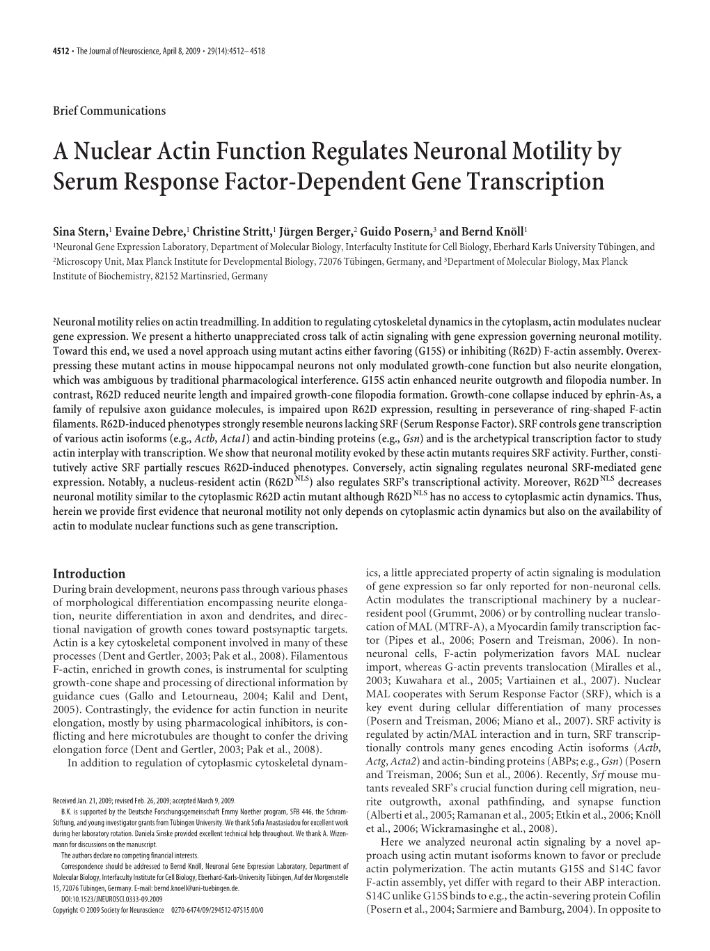 A Nuclear Actin Function Regulates Neuronal Motility by Serum Response Factor-Dependent Gene Transcription