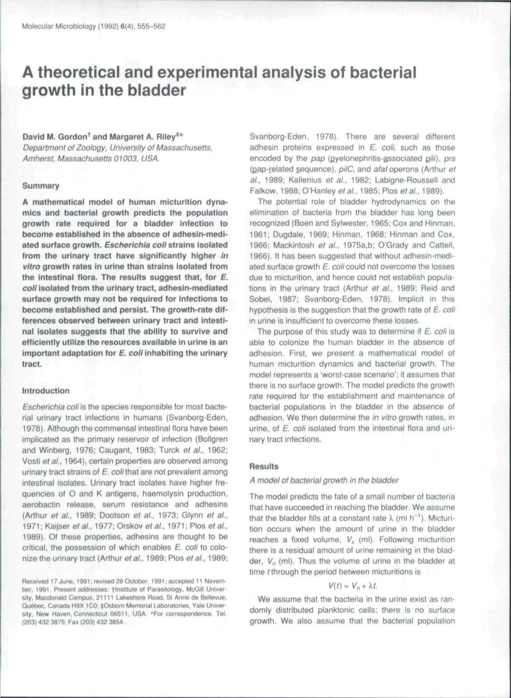 A Theoretical and Experimental Analysis of Bacterial Growth in the Bladder