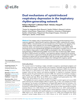 Dual Mechanisms of Opioid-Induced Respiratory Depression in The