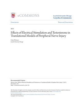 Effects of Electrical Stimulation and Testosterone in Translational Models of Peripheral Nerve Injury Gina Monaco Loyola University Chicago