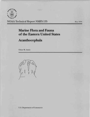 Marine Flora and Fauna of the Eastern United States Acanthocephala