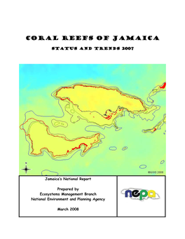 Coral Reef of Jamaica 2007