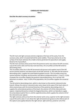 CARDIOLOGY PHYSIOLOGY Part 1 Describe the Adult Coronary Circulation the Left Main and Right Coronary Arteries Originate At