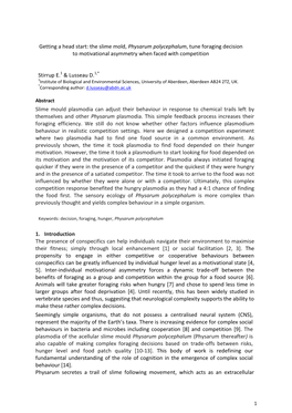 The Slime Mold, Physarum Polycephalum, Tune Foraging Decision to Motivational Asymmetry When Faced with Competition