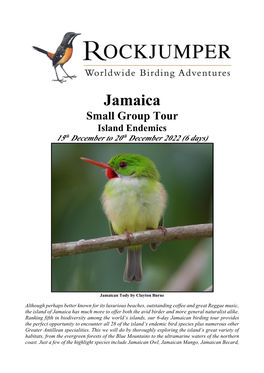 Jamaica Small Group Tour Island Endemics 15Th December to 20Th December 2022 (6 Days)