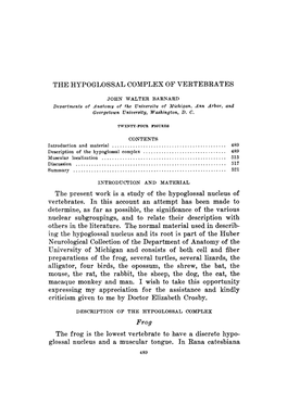 The Hypoglossal Complex of Vertebrates