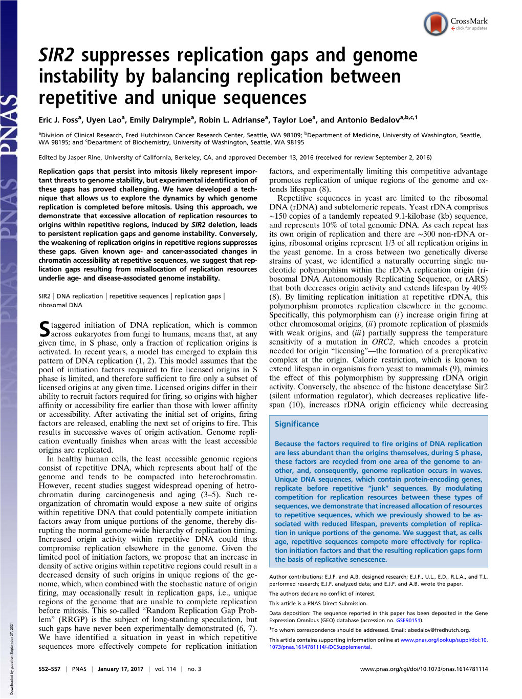 SIR2 Suppresses Replication Gaps and Genome Instability by Balancing Replication Between Repetitive and Unique Sequences