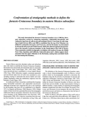 Confrontation of Stratigraphic Methods to Define the Jurassic-Cretaceous Boundary in Eastern Mexico Subsurface