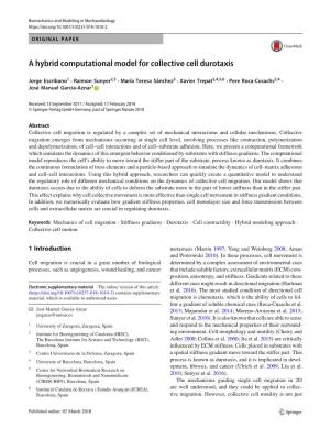A Hybrid Computational Model for Collective Cell Durotaxis