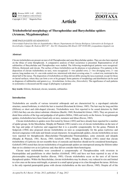 Trichobothrial Morphology of Theraphosidae and Barychelidae Spiders (Araneae, Mygalomorphae)