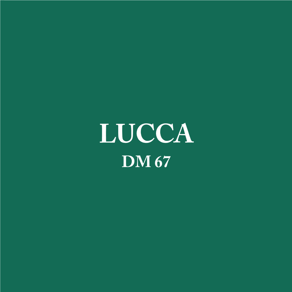 Download Lucca's Booklet