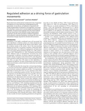 Regulated Adhesion As a Driving Force of Gastrulation Movements Matthias Hammerschmidt1,2 and Doris Wedlich3