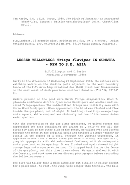 LESSER YELLOWLEGS Tringa Flavipes in SUMATRA - NEW to S.E