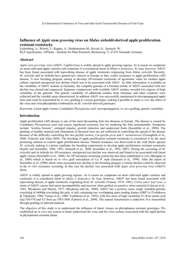 Influence of Apple Stem Grooving Virus on Malus Sieboldii-Derived Apple