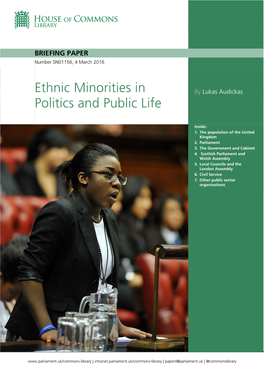 Ethnic Minorities in Politics and Public Life