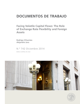 Documentos De Trabajo Facing Volatile Capital Flows: the Role of Exchange Rate Flexibility and Foreign Assets