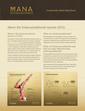 About the Endocannabinoid System (ECS)