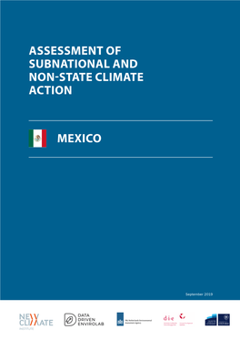 Mexico Assessment of Subnational and Non-State