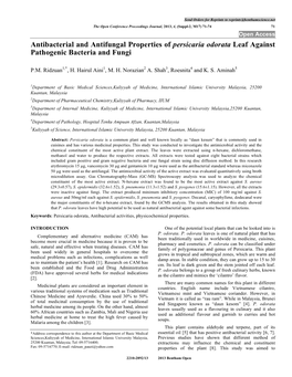 Antibacterial and Antifungal Properties of Persicaria Odorata Leaf Against Pathogenic Bacteria and Fungi